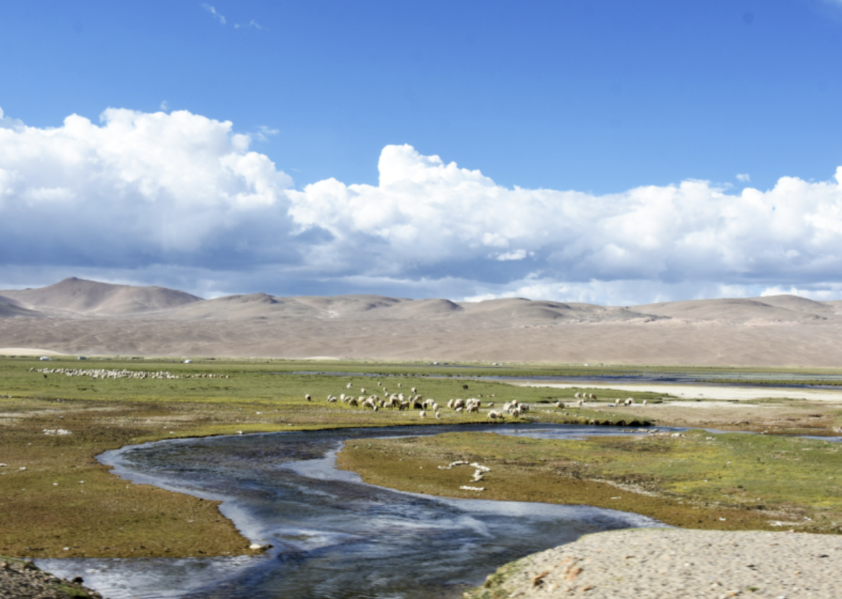 Science Communication for Water Diplomacy in the Brahmaputra